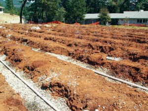 Rows of soil and piping for wastewater treatment