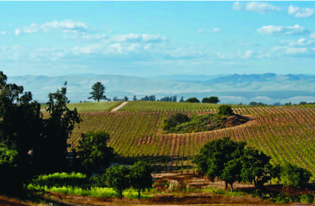 Central California Coast Winery reuses treated water for native plant irrigation