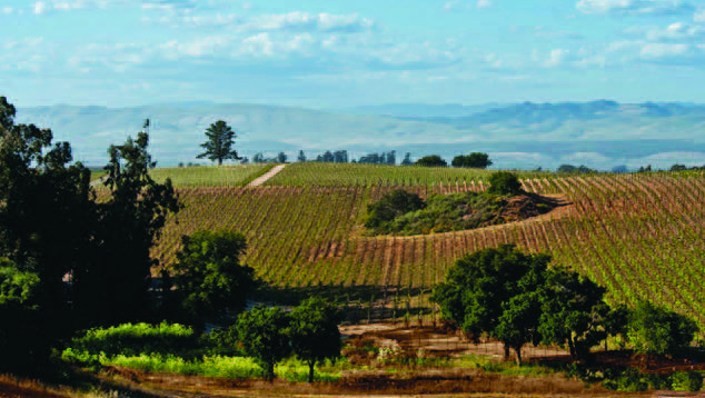 Presqu’ile Winery: Sustainable Wastewater Success