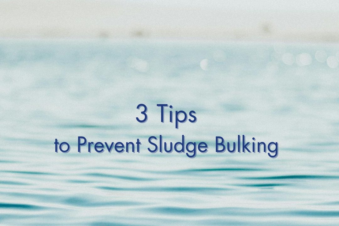 sludge-bulking-prevent