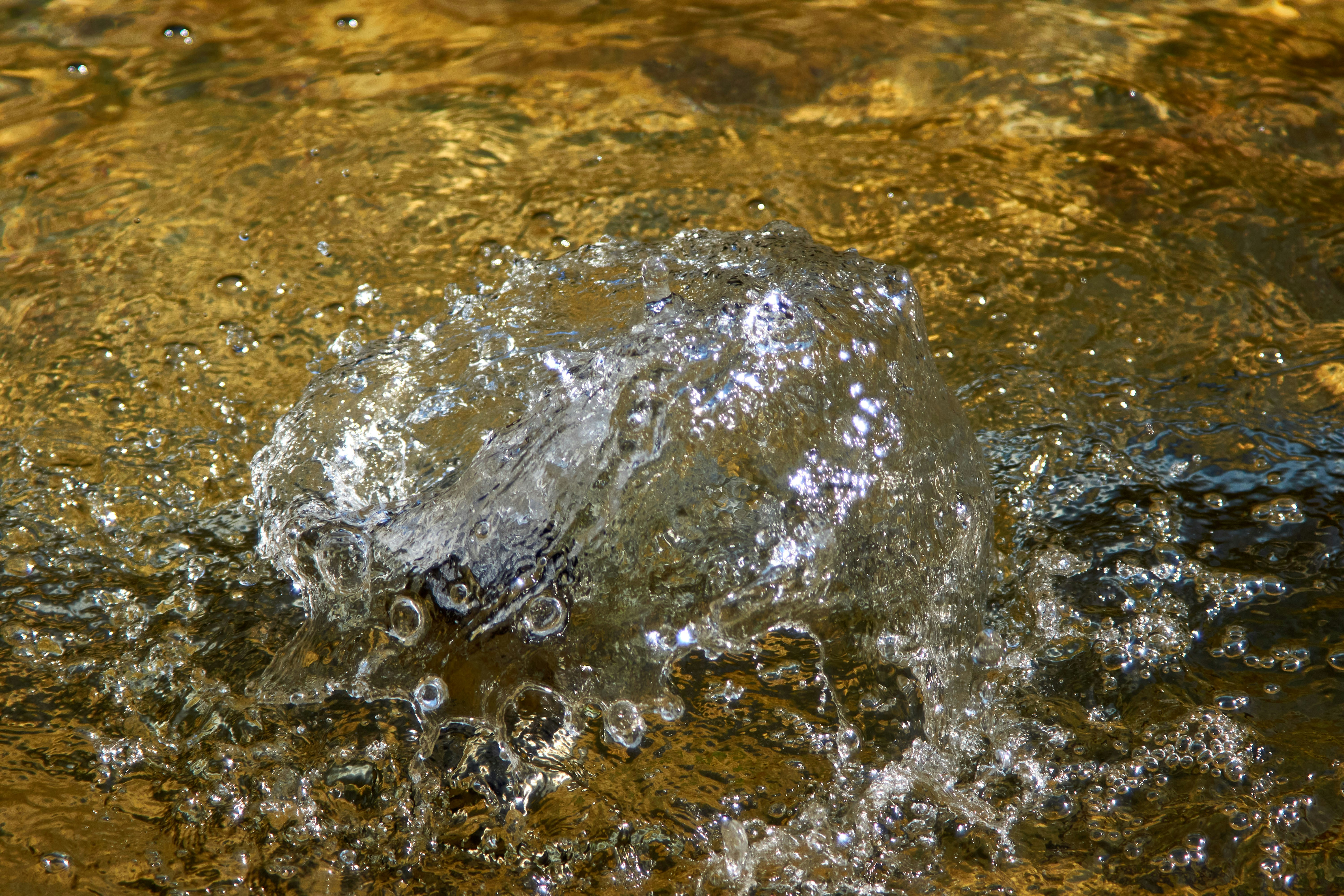 How to Prepare for Nutrient Limits That Haven’t Arrived Yet